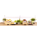 9055762_Bilddaten_komplett/9055762-10.png