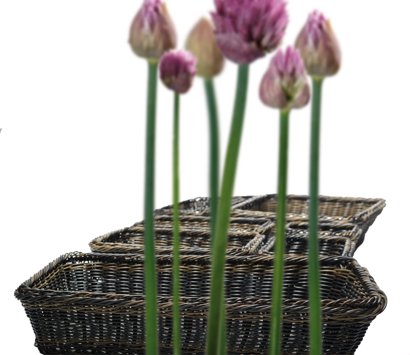 9033571_Bilddaten_komplett/9033571-10.png