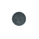Teller M5380 flach coup 21,5 cm, Coup Fine Dining Dekor