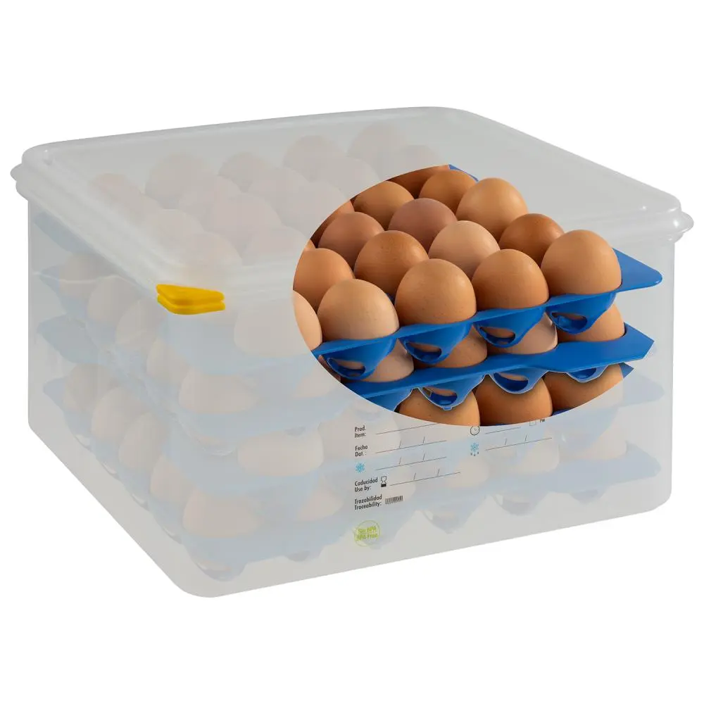 GN-Eier-Box 2/3 